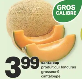 L'Intermarché CANTALOUP, grosseur 9 offer