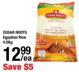 Arz Fine Foods Cedar roots egyptian rice offer