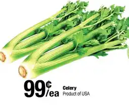 Arz Fine Foods Celery offer