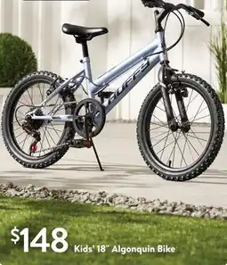 Walmart Kids' 18 Algonquin Bike offer