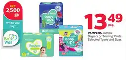 Rexall PAMPERS Jumbo Diapers or Training Pants offer