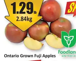 Starsky Ontario Grown Fuji Apples offer