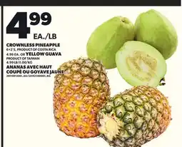 Independent City Market CROWNLESS PINEAPPLE, 6+2'S OR YELLOW GUAVA offer