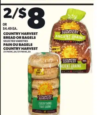 Independent City Market COUNTRY HARVEST BREAD OR BAGELS offer