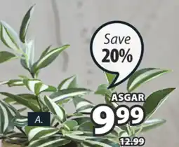 JYSK ASGAR Artificial potted plant offer