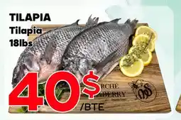 Marche Salaberry TILAPIA offer