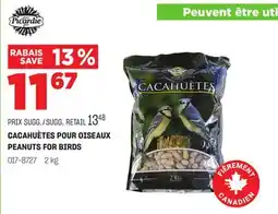 BMR CACAHUÈTES POUR OISEAUX offer