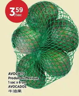 Kim Phat AVOCADOS offer