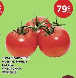 Kim Phat VINED TOMATO offer