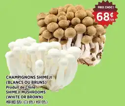 Kim Phat SHIMEJI MUSHROOMS (WHITE OR BROWN) offer