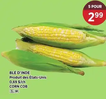 Kim Phat CORN COB offer