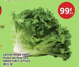 Kim Phat GREEN CURLY LETTUCE offer