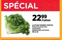 Kim Phat GREEN CURLY LETTUCES offer