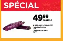 Kim Phat CHINESE EGGPLANTS offer