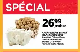 Kim Phat SHIMEJI MUSHROOMS (WHITE OR BROWN) offer