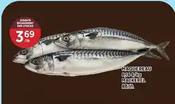 Kim Phat MACKEREL offer