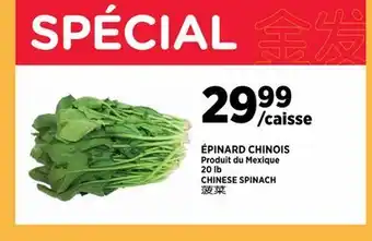 Kim Phat CHINESE EGGPLANTS offer