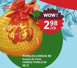 Kim Phat POMELOS CHINOIS #8 offer