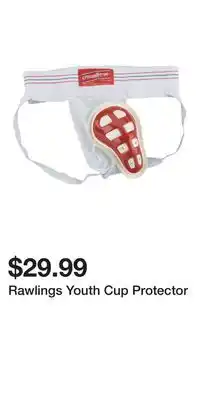 Sport Chek Rawlings Youth Cup Protector offer