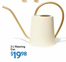 Walmart Watering Can offer