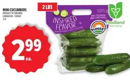 Metro MINI CUCUMBERS offer