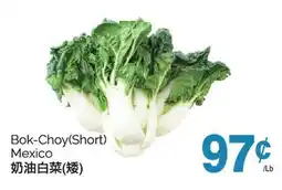 T&T Supermarket BOK-CHOY(SHORT) offer