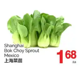 T&T Supermarket SHANGHAI BOK CHOY SPROUT offer