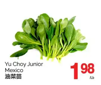 T&T Supermarket YU CHOY JUNIOR offer