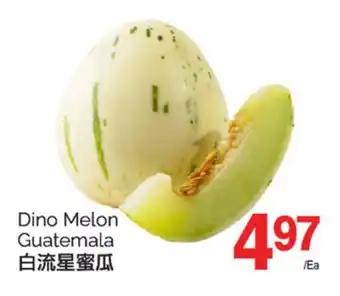 T&T Supermarket DINO MELON offer