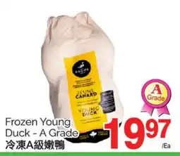 T&T Supermarket FROZEN YOUNG DUCK- A GRADE offer