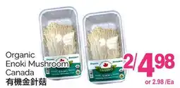 T&T Supermarket ORGANIC ENOKI MUSHROOM offer