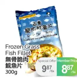 T&T Supermarket FROZEN GRASS FISH FILLET, 300G offer