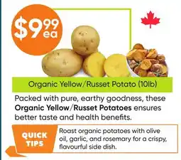 Healthy Planet Organic Yellow/Russet Potato offer