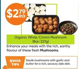 Healthy Planet Organic White offer