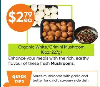 Healthy Planet Organic White offer