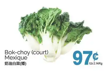 T&T Supermarket BOK-CHOY (Court) offer