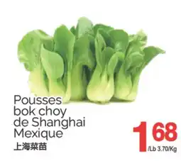 T&T Supermarket POUSSES BOK CHOY DE SHANGHAI offer