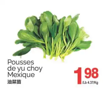 T&T Supermarket POUSSES DE YU CHOY offer