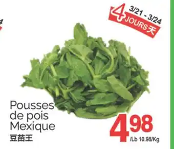 T&T Supermarket POUSSES DE POIS offer