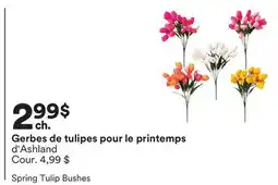 Michaels Gerbes de tulipes pour le printemps d'Ashland offer