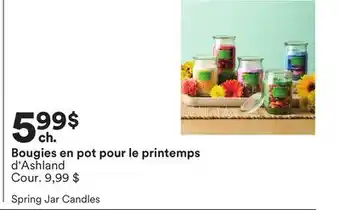 Michaels Bougies en pot pour le printemps d'Ashland offer