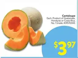 Walmart Cantaloupe offer