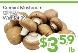 Ample Food Market Cremini Mushroom offer