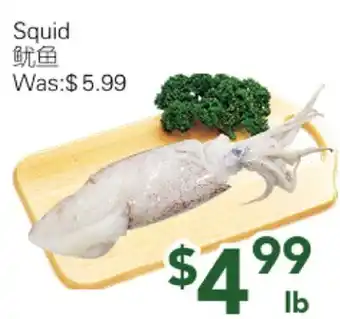 Ample Food Market Squid offer