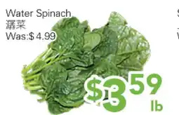 Ample Food Market Water Spinach offer