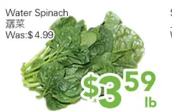 Ample Food Market Water Spinach offer