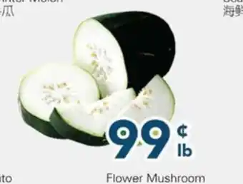 Oceans Fresh Food Market Winter Melon offer