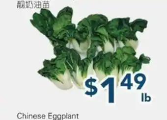 Oceans Fresh Food Market Nai Yu Bok Choy Miu offer