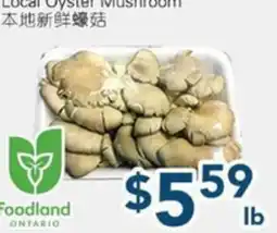 Oceans Fresh Food Market Local Oyster Mushroom offer