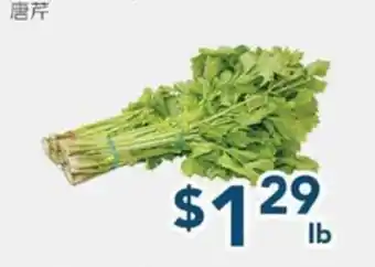 Oceans Fresh Food Market Chinese Celery offer